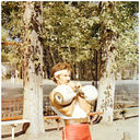  ,   , 66 ,  
