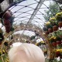 ���������� ��������, ���� ������� �����, 46 ���, ������������ ��� c�������� ���������