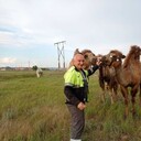 ���������� �����, ���� ������� �����, 48 ���, ������������ ��� ����� � ���������, c�������� ���������, ���������