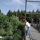  ,    , 39 ,   ,   