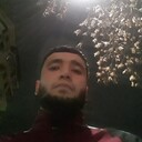 ���������� �������, ���� ������� Sardor, 33 ����, ������������ ��� ������, ����� � ���������, c�������� ���������, ���������