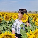  ,   T, 58 ,   ,   