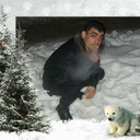 ���������� ����, ���� ������� Poma, 42 ����, ������������ ��� ������, ����� � ���������, c�������� ���������