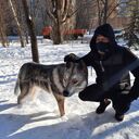 ���������� ������, ���� ������� ����, 42 ����, ������������ ��� ������, ����� � ���������, c�������� ���������, ���������