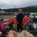 ���������� �����, ���� ������� �������, 46 ���, ������������ ��� c�������� ���������