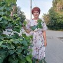  ,   , 62 ,   ,   