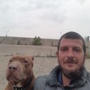 ���������� �������, ���� ������� �����, 43 ����, ������������ ��� ������, ����� � ���������, c�������� ���������