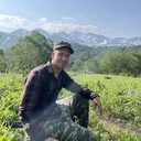 ���������� ������, ���� ����� ������, 20 ���, ������������ ��� ������, ����� � ���������