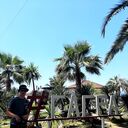 ���������� �����, ���� ����� ���������, 24 ����, ������������ ��� ������, ����� � ���������, c�������� ���������, ���������