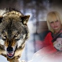 ���������� ������, ���� ������� Goga, 37 ���, ������������ ��� ������, ����� � ���������, c�������� ���������