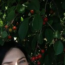 ,   , 40 ,   c 
