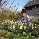  ,   , 51 ,   ,   , c 