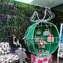 ���������� ������, ���� ������� �������, 36 ���, ������������ ��� ������, ����� � ���������