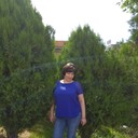  ,   , 53 ,     , c 