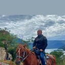 ���������� ���������, ���� ������� ����, 35 ���, ������������ ��� ������, ����� � ���������, c�������� ���������