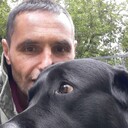 ���������� ������, ���� ������� ��������, 52 ����, ������������ ��� c�������� ���������