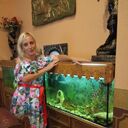 ���������� ������ ���, ���� ������� ����, 46 ���, ������������ 