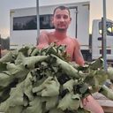 ���������� ���������� �����, ���� ������� Eldar, 35 ���, ������������ ��� ������, ����� � ���������, c�������� ���������, ���������