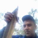 ���������� �������, ���� ������� ���������, 45 ���, ������������ ��� ����� � ���������, c�������� ���������