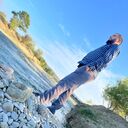  ,   Ruslan, 38 ,   ,   