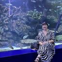 ���������� ������, ���� ������� ��������, 39 ���, ������������ ��� ������, ����� � ���������, c�������� ���������