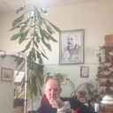 ���������� ������, ���� ������� ������, 56 ���, ������������ ��� ������, ����� � ���������, c�������� ���������