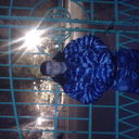 ���������� �������, ���� ������� �����, 37 ���, ������������ ��� ������, ����� � ���������, c�������� ���������