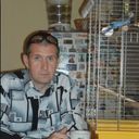 ���������� ���������, ���� ������� �����, 44 ����, ������������ ��� ����� � ���������, c�������� ���������