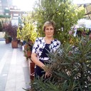  --,   , 58 ,     , c 