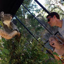 ���������� �������, ���� ������� Gio gio, 38 ���, ������������ ��� ������