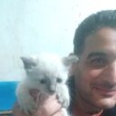  ,   , 38 ,   ,   , c , 