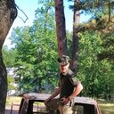 ���������� ����, ���� ������� �������, 26 ���, ������������ ��� ������, ����� � ���������, c�������� ���������, ���������