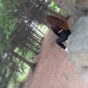  ,   , 23 ,   c 
