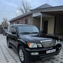 ���������� ������, ���� ������� ����, 37 ���, ������������ ��� ������, ����� � ���������