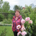  -,   , 70 ,   c 