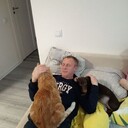 ���������� �����-���������, ���� ������� ����, 40 ���, ������������ ��� ������, ����� � ���������, c�������� ���������