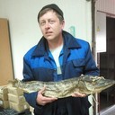 ���������� ������, ���� ������� �����, 40 ���, ������������ ��� ������, ����� � ���������, c�������� ���������