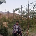  --,   Ramin, 38 ,   ,   