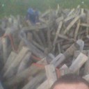 ���������� �����, ���� ������� ���, 29 ���, ������������ ��� ������, ����� � ���������, c�������� ���������