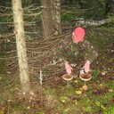 ���������� ���������, ���� ������� ����, 37 ���, ������������ ��� ������, ����� � ���������, c�������� ���������