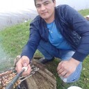 ���������� �����-���������, ���� ������� ����, 38 ���, ������������ ��� ������, ����� � ���������