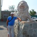  ,   , 46 ,  