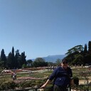  ,   Damir, 50 ,   c 
