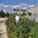 ���������� ���������, ���� ������� ��� ���, 45 ���, ������������ ��� ������, ����� � ���������