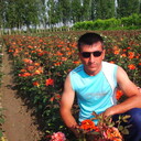  ,    , 40 ,   ,   