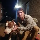 ���������� ���������, ���� ������� �����, 29 ���, ������������ ��� ������, ����� � ���������, c�������� ���������