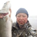  -,   , 54 ,   ,   , c 