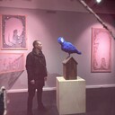 ���������� ������, ���� ������� ����, 41 ���, ������������ ��� ������, ����� � ���������