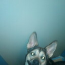 ���������� ������, ���� ������� ����, 42 ����, ������������ ��� ������, ����� � ���������, c�������� ���������