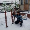 ���������� ��������, ���� ������� ���, 65 ���, ������������ ��� ������, ����� � ���������, c�������� ���������